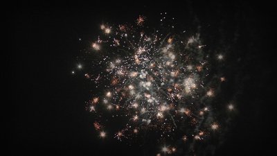 #25364 盆花0.6 150发数