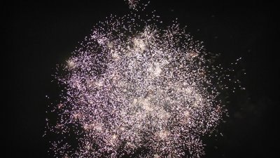 #25365 盆花0.6 200发数