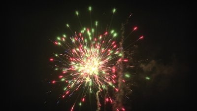 #25375 盆花1.0 100发数