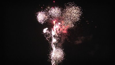 #25371 Cakes 1.0 200 shots