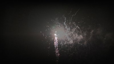 #25370 Cakes 1.2 100 shots