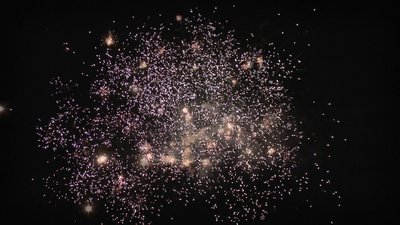 #25381 Module Cakes 0.8 36 shots