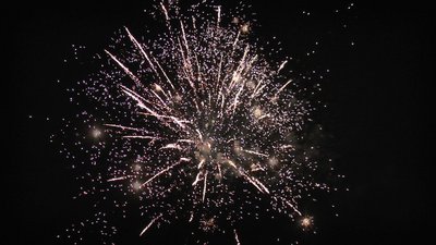 #25383 Module Cakes 0.8 49 shots