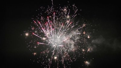 #25384 Module Cakes 0.8 100 shots