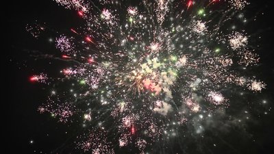 #25353 盆花1.2 100发数