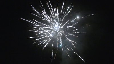 #25406 盆花0.8 200发数