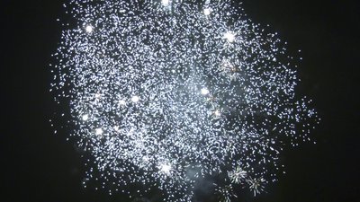 #25411 盆花0.6 20发数