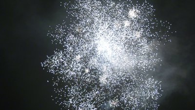 #25416 Module 盆花1.0 19发数