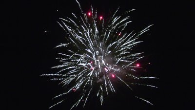 #25454 Cakes 0.8 49 shots