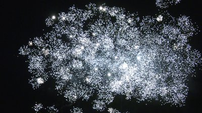 #25455 Cakes 0.8 42 shots