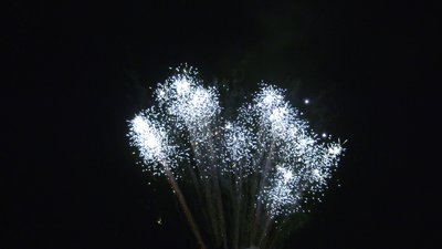 #25456 Cakes 0.8 35 shots