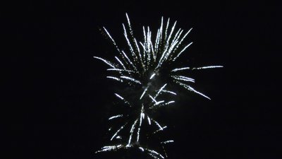 #25253 Cakes 0.7 25 shots