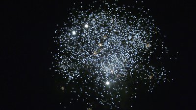 #25254 Cakes 0.7 25 shots