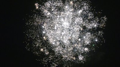 #25400 盆花1.2 49发数