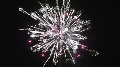 #25401 Cakes 1.2 100 shots