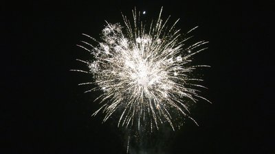 #25438 盆花34x0.8"/53x1.0"/99x1.2" 186发数