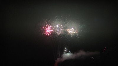 #25438 盆花34x0.8"/53x1.0"/99x1.2" 186发数