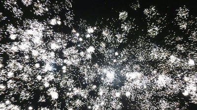 #25448 Cakes 1.2 100 shots