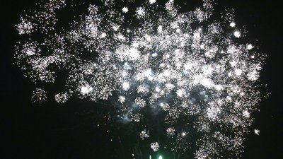 #25452 Cakes 121x1.0"/118x1.2" 239 shots