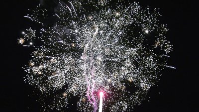 #25485 Cakes 1.0 150 shots