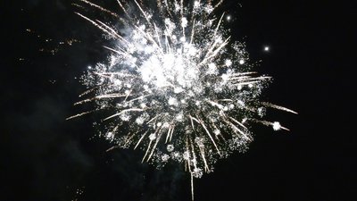 #25487 盆花1.2 100发数