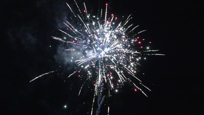 #25486 盆花1.2 150发数