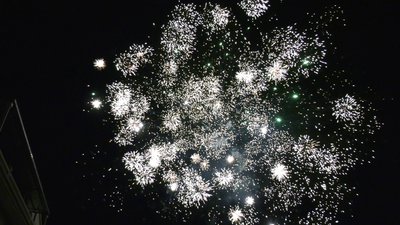 #25251 Module 盆花1.1 49发数