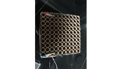 #25317 盆花1.0 100发数