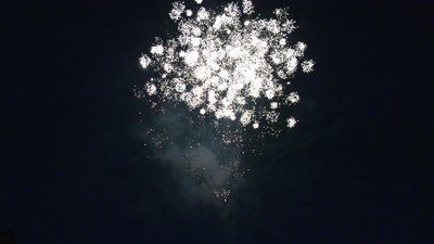 #25474 Tortas 1.0 50 tiros