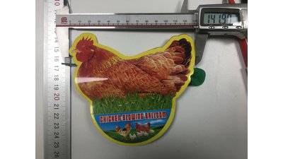 #14323 Chicken With Eggs