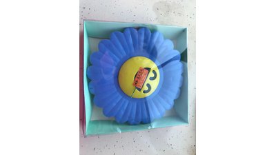 #25560 blossomed sunflowers