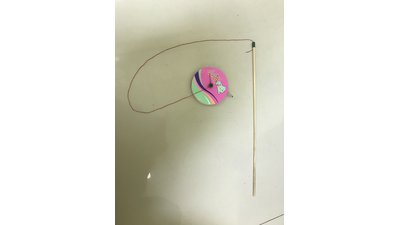 #25556 Kitten fishing