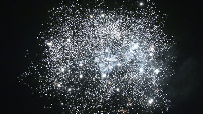 #25250 Module Cakes 1.1 36 shots