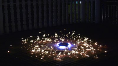 #25560 blossomed sunflowers