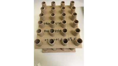 #25584 Cakes 1.0 24 shots