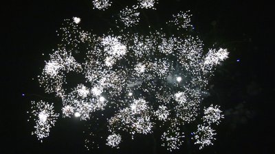 #25583 盆花1.0 12发数