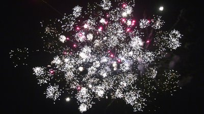 #25584 Cakes 1.0 24 shots