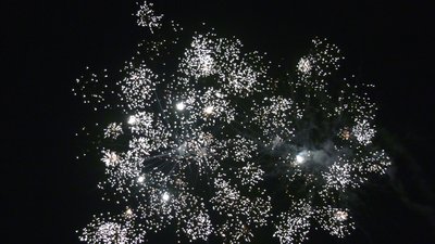 #25554 Tortas 1.0 33 tiros