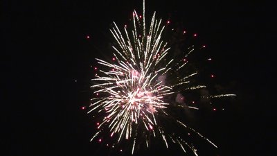 #25552 Tortas 1.2 16 tiros