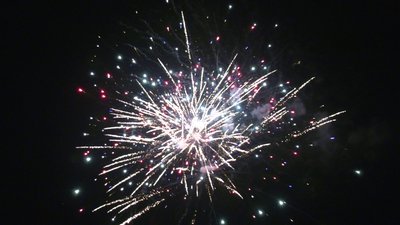 #25549 盆花1.2 20发数