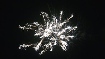 #25586 Tortas 1.2 20 tiros