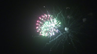 #25582 盆花3.0 9发数