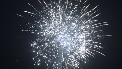 #25592 盆花2.0 49发数