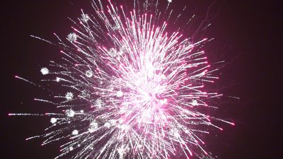 #25606 Tortas 2.0 49 tiros