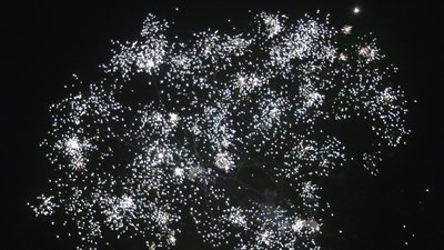 #25599 Cakes 0.8 38 shots