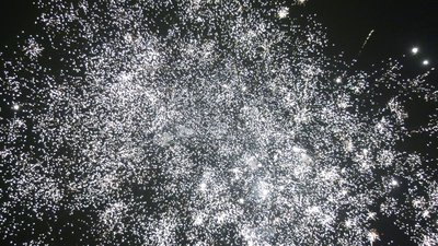 #25604 盆花1.2 32发数