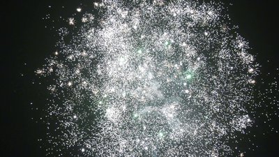 #25605 盆花36x0.8"/32x1.2" 68发数