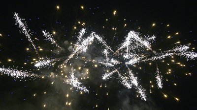 #25636 盆花84x1.0"/20x1.2" 104发数