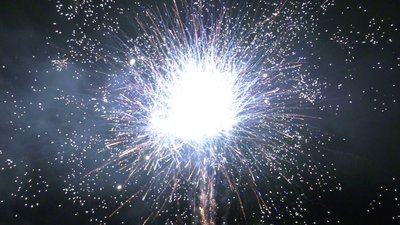 #25638 盆花1.2 50发数