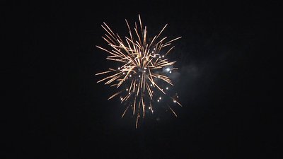 #25649 盆花1.2 25发数